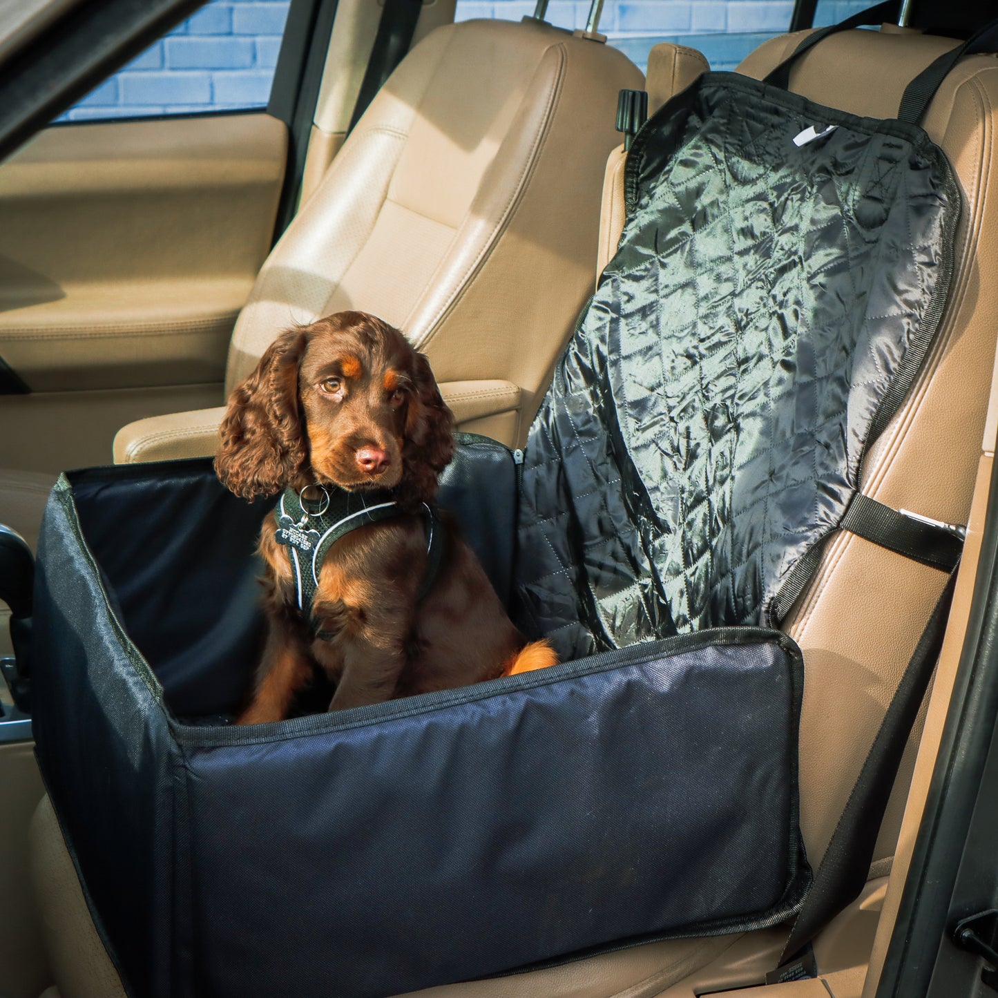 2 in 1 Pet Car Seat and Seat Protector