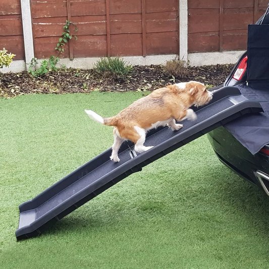 Foldable Pet Ramp: Making Travel a Breeze for Your Furry Friend