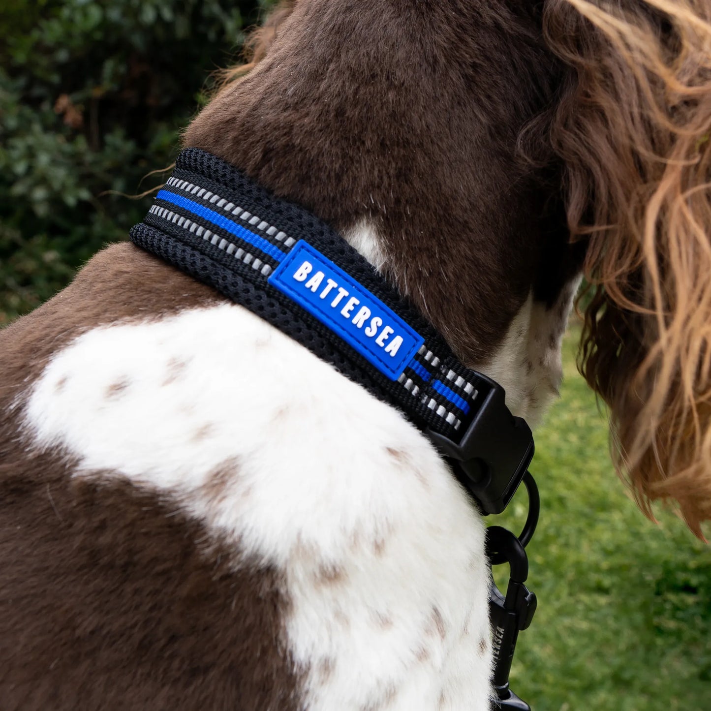 Battersea Reflective Dog Collar Blue