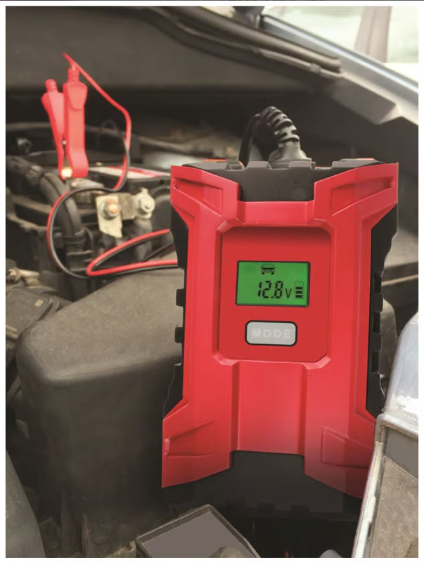 Smart Car Charger - 6 Amp 6/12V 